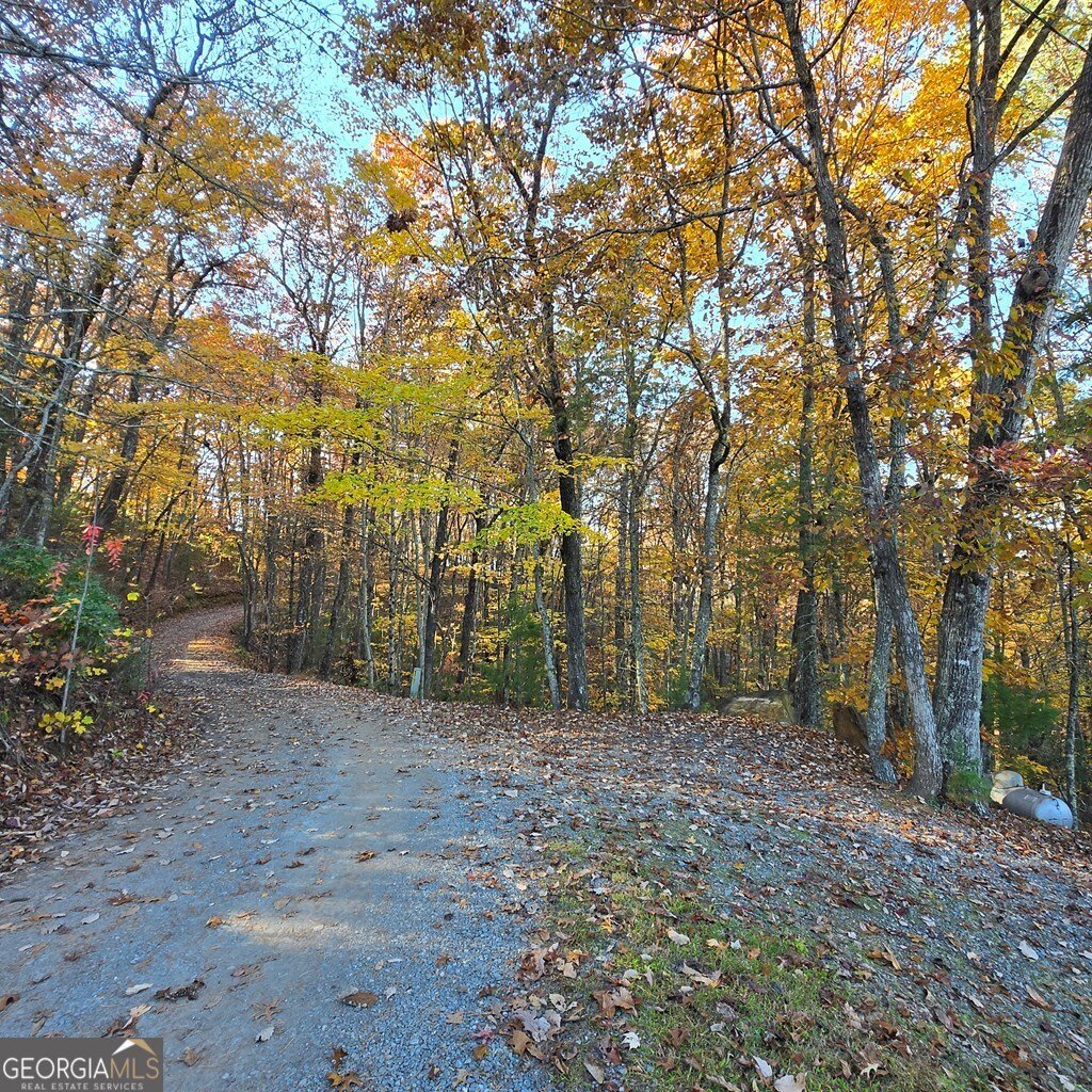 705 Hickory Drive Mineral Bluff - 52