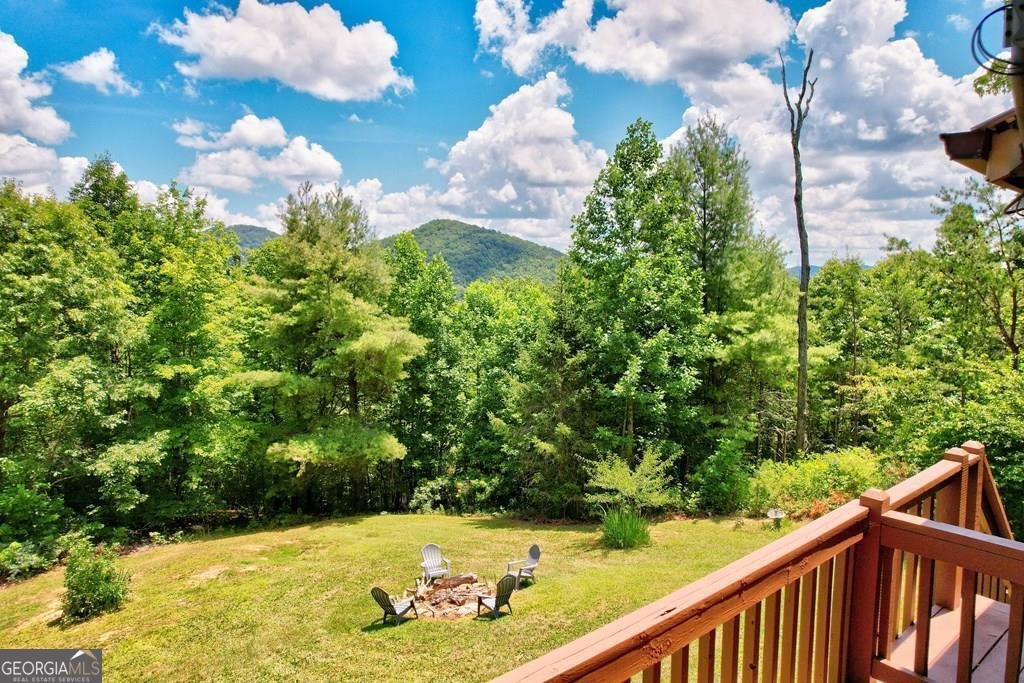 705 Hickory Drive Mineral Bluff - 53