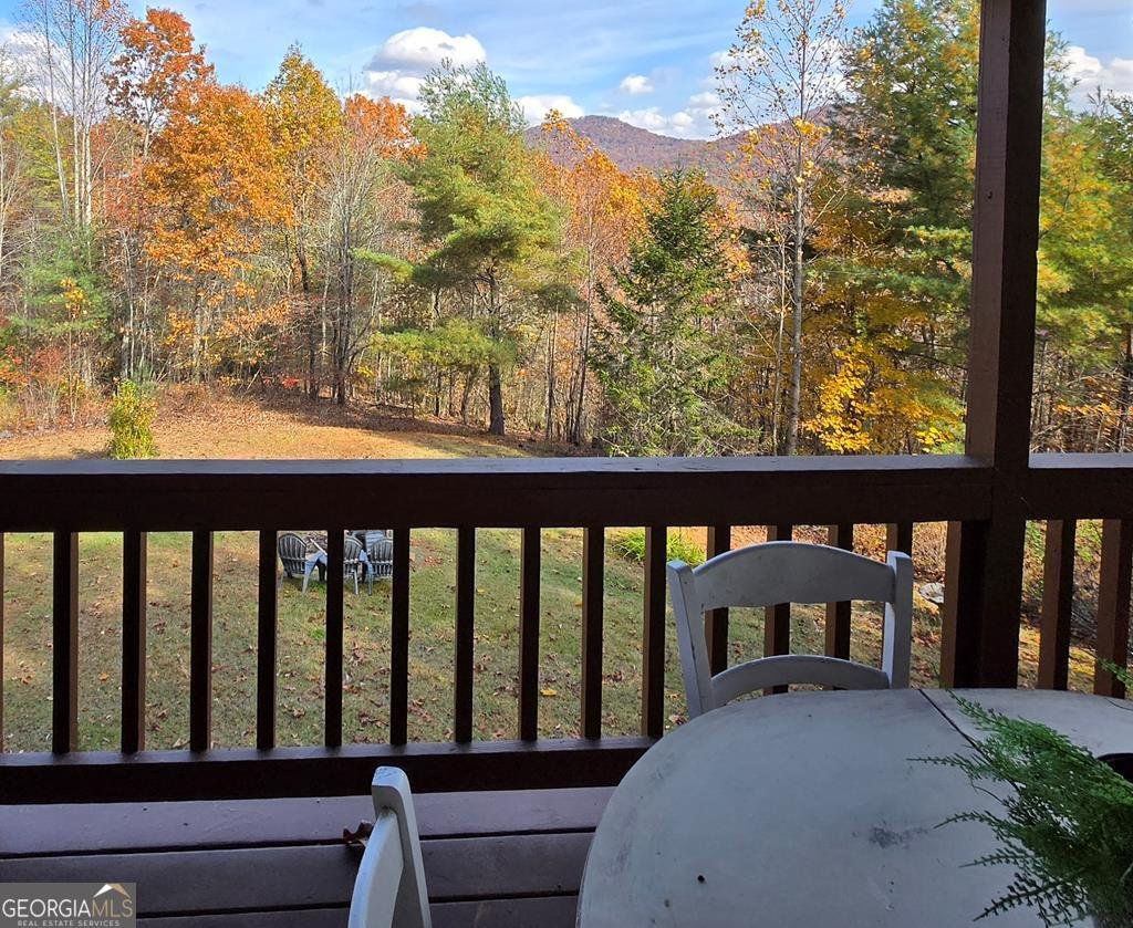 705 Hickory Drive Mineral Bluff - 54