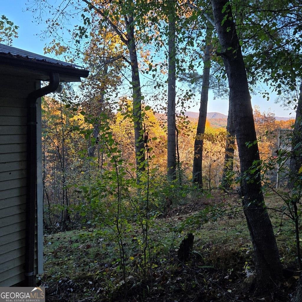 705 Hickory Drive Mineral Bluff - 55