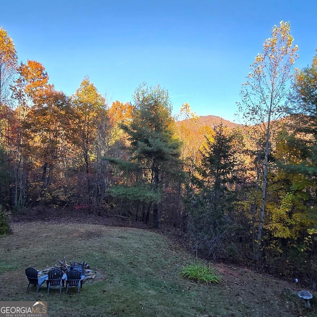 705 Hickory Drive Mineral Bluff - 56