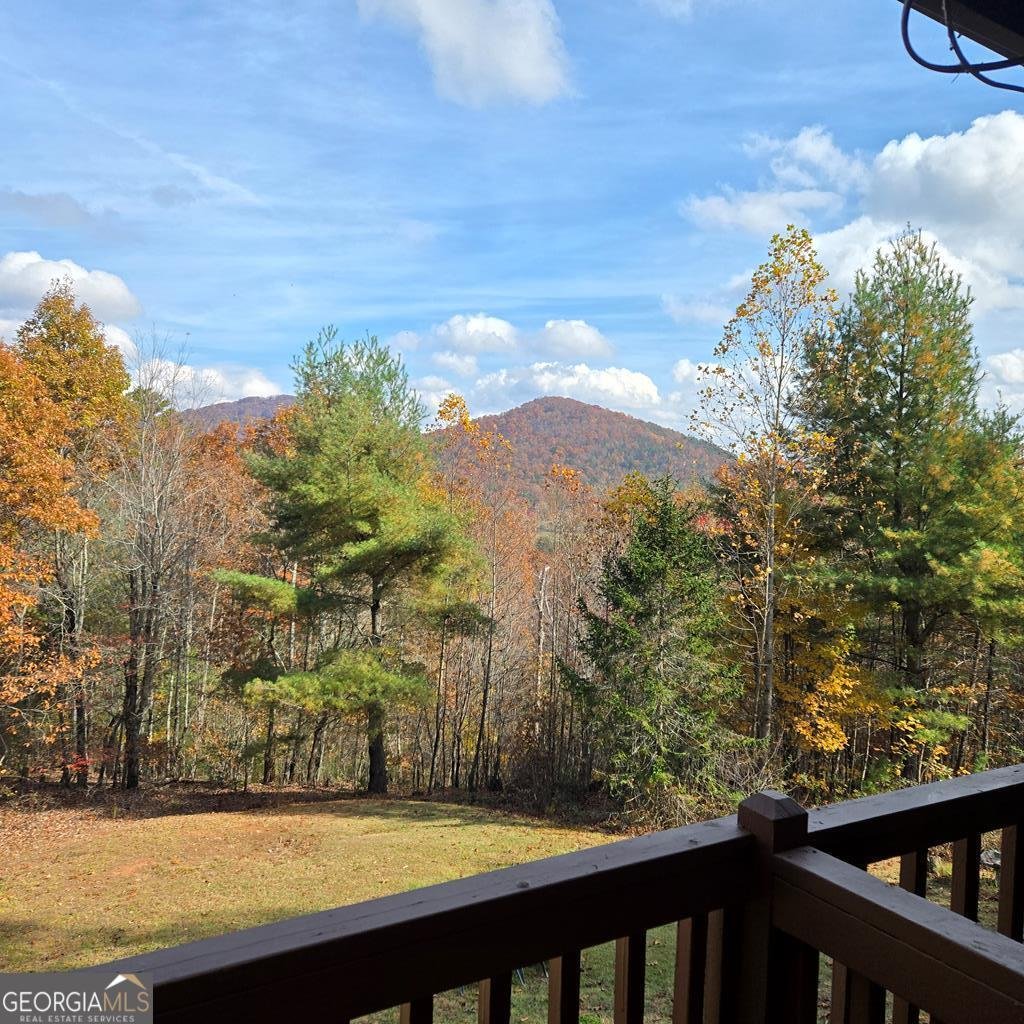 705 Hickory Drive Mineral Bluff - 58