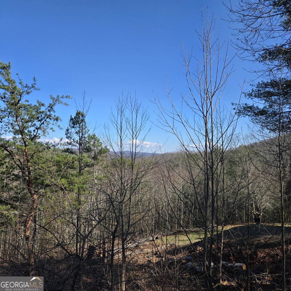 705 Hickory Drive Mineral Bluff - Photo 59