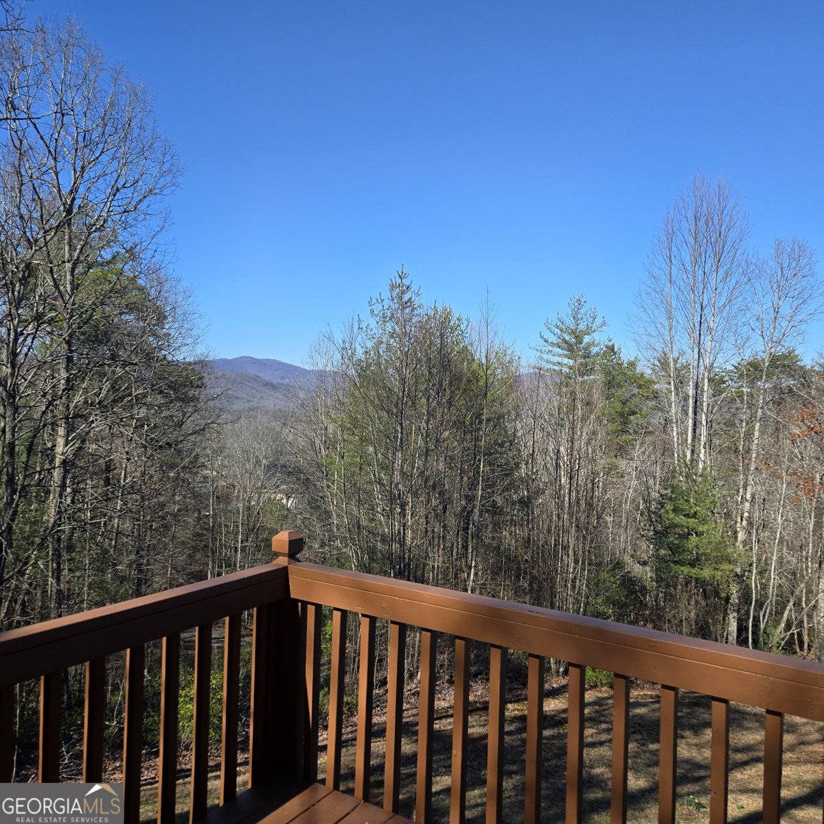 705 Hickory Drive Mineral Bluff - Photo 60