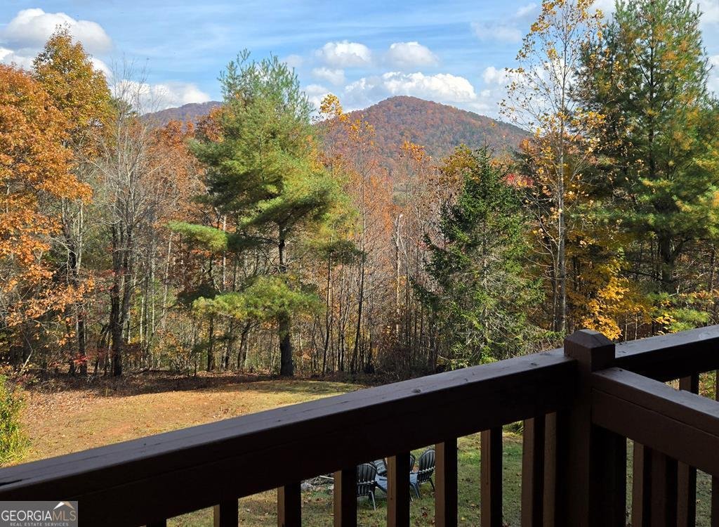 705 Hickory Drive Mineral Bluff - Photo 61