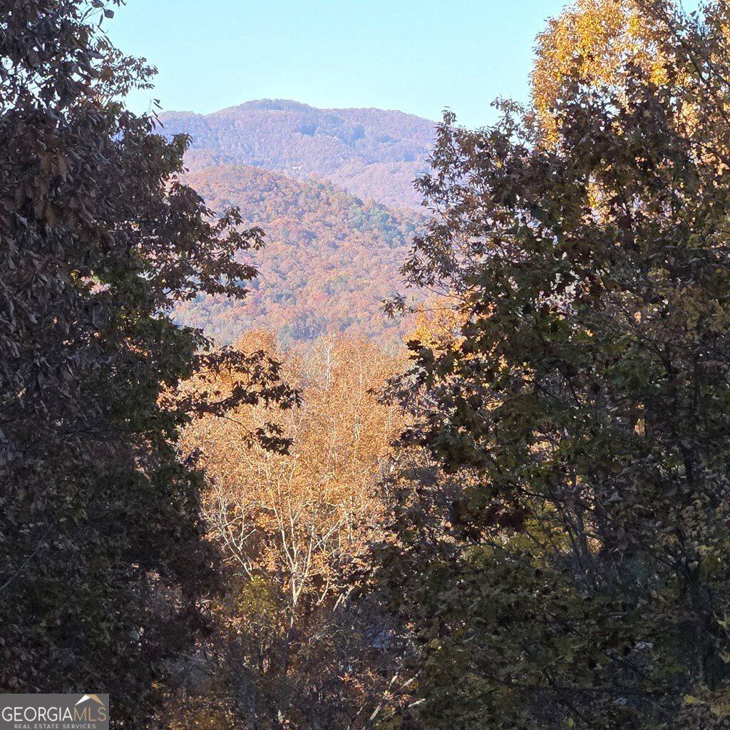 705 Hickory Drive Mineral Bluff - Photo 62