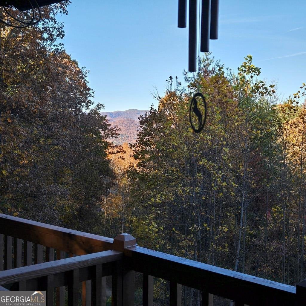 705 Hickory Drive Mineral Bluff - Photo 63