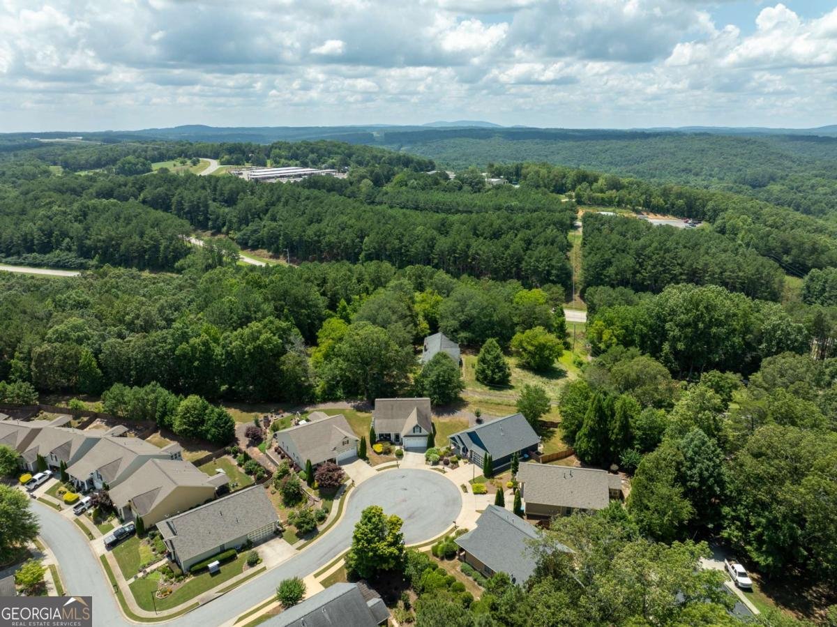 505 Mount Olive Circle Ball Ground - 9