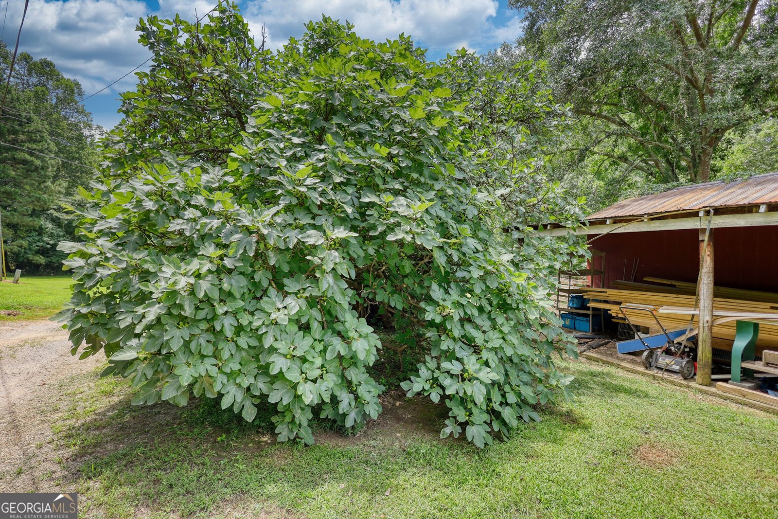 1218 Hull Road Athens - 41