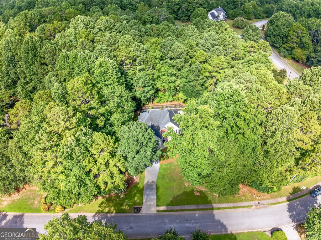 5414 Forest Ridge Drive Loganville - 23