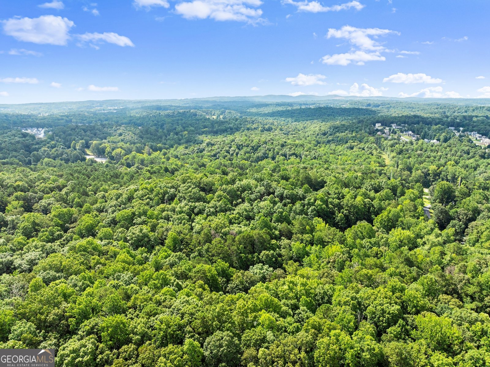 152 Blacks Mill Court Dawsonville - 1