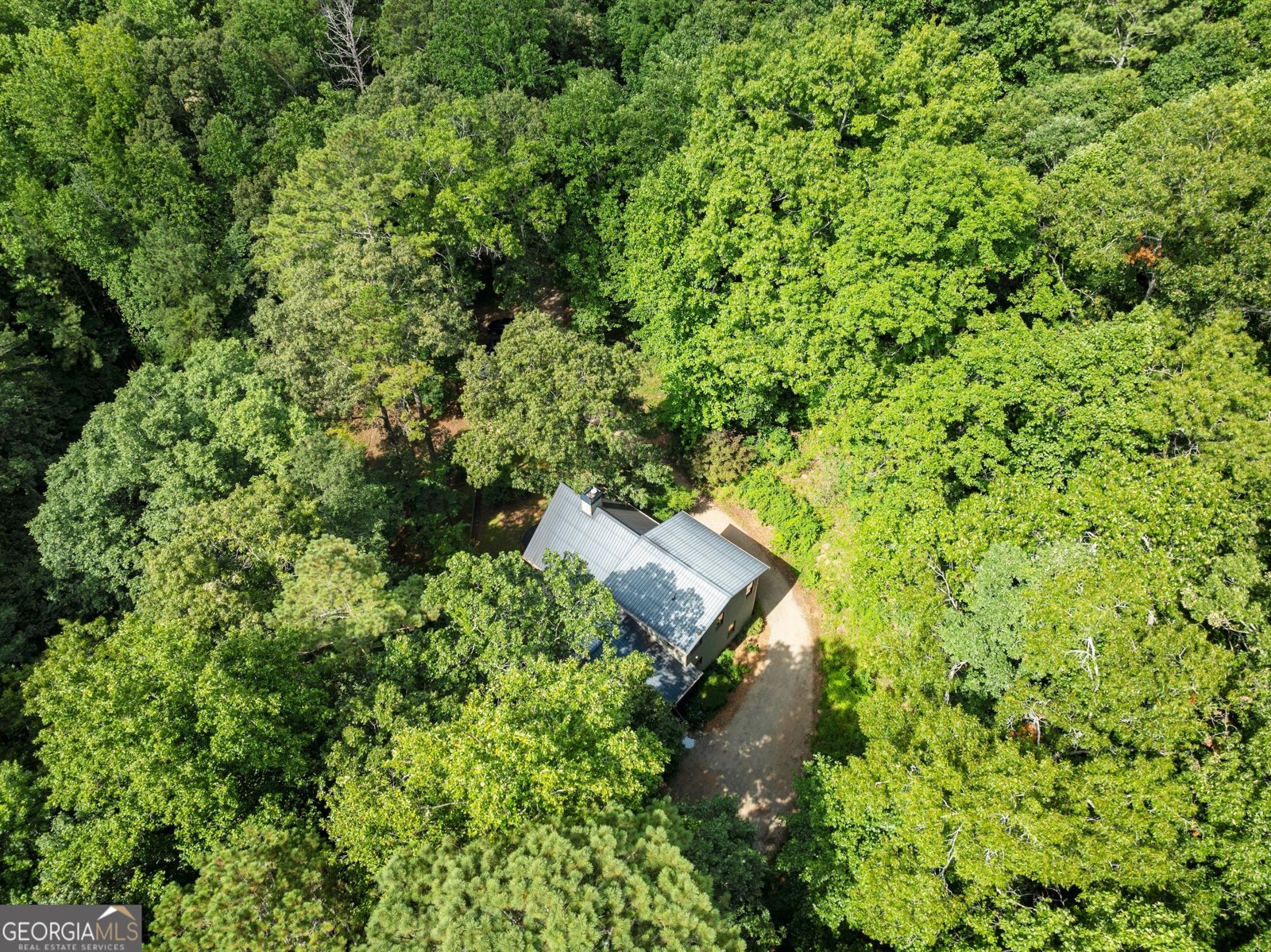 152 Blacks Mill Court Dawsonville - 10