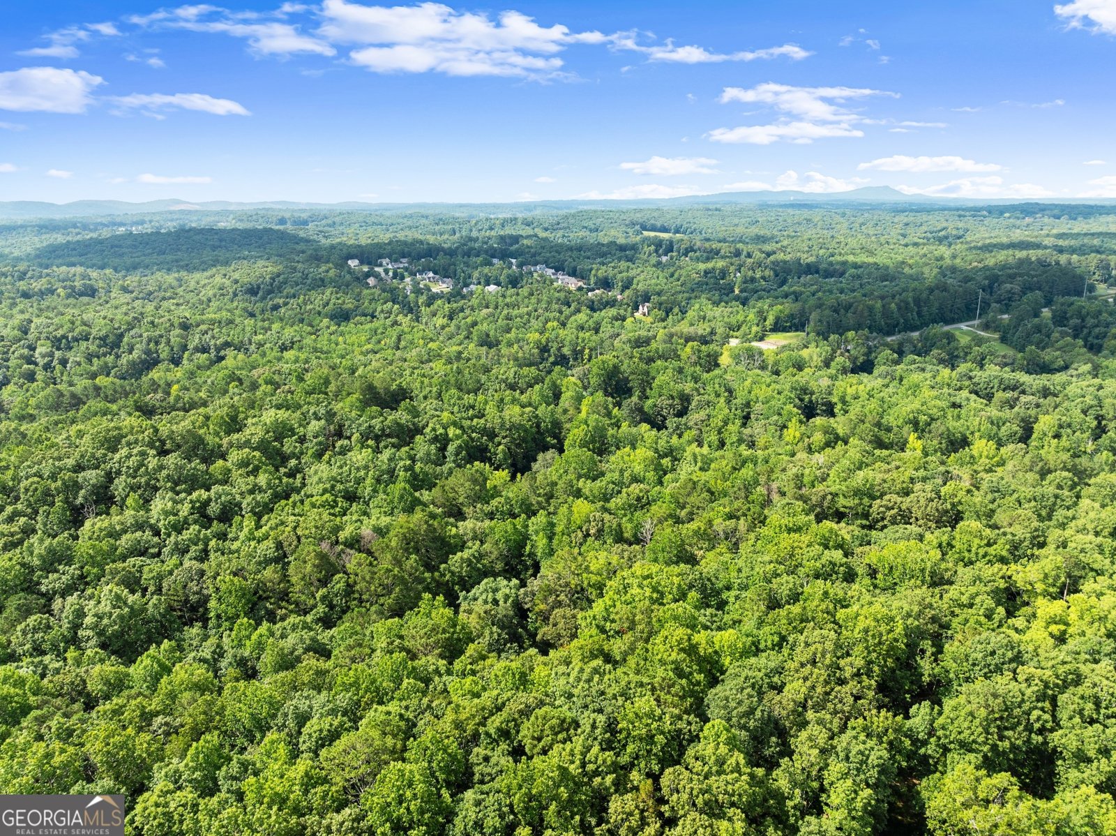 152 Blacks Mill Court Dawsonville - 2