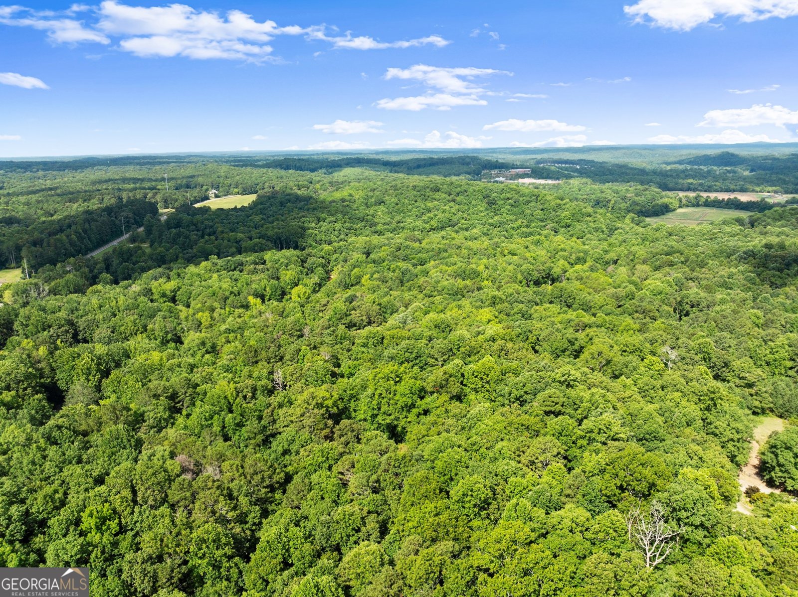 152 Blacks Mill Court Dawsonville - 3