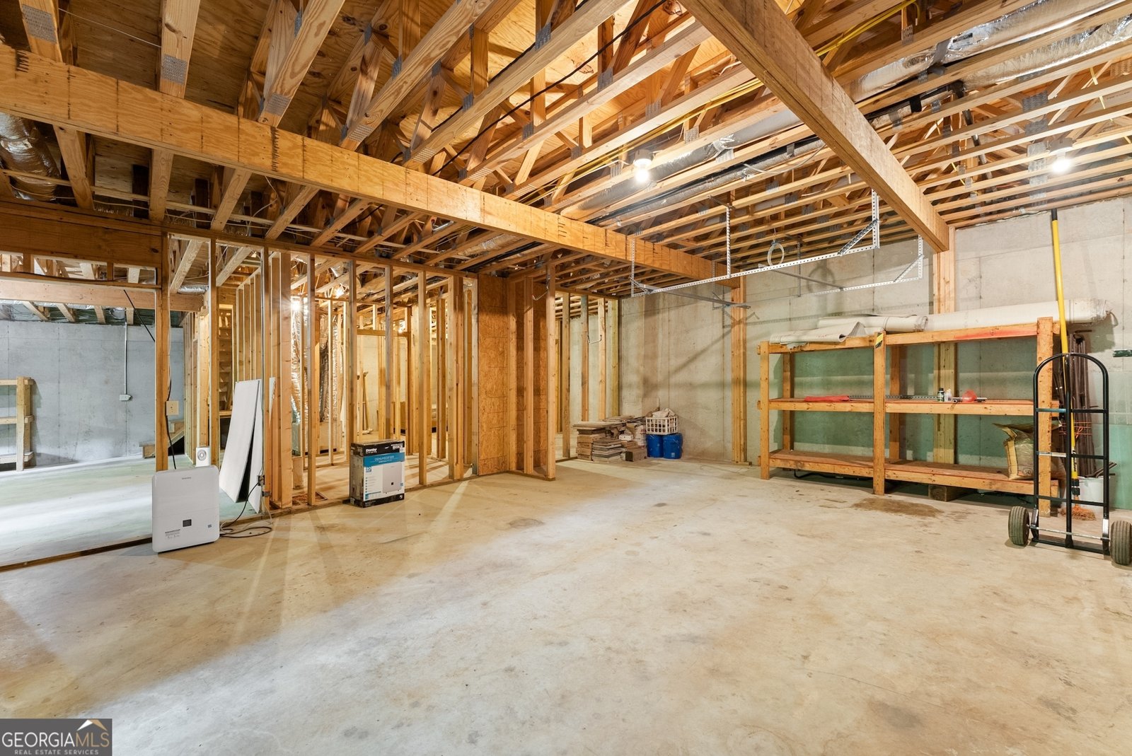 152 Blacks Mill Court Dawsonville - 31