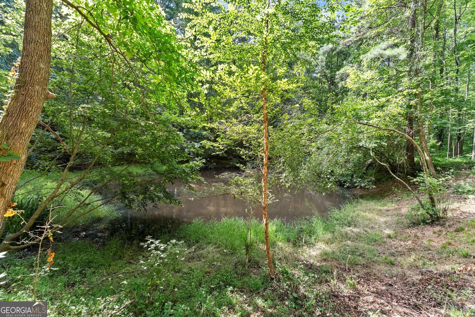 152 Blacks Mill Court Dawsonville - 42