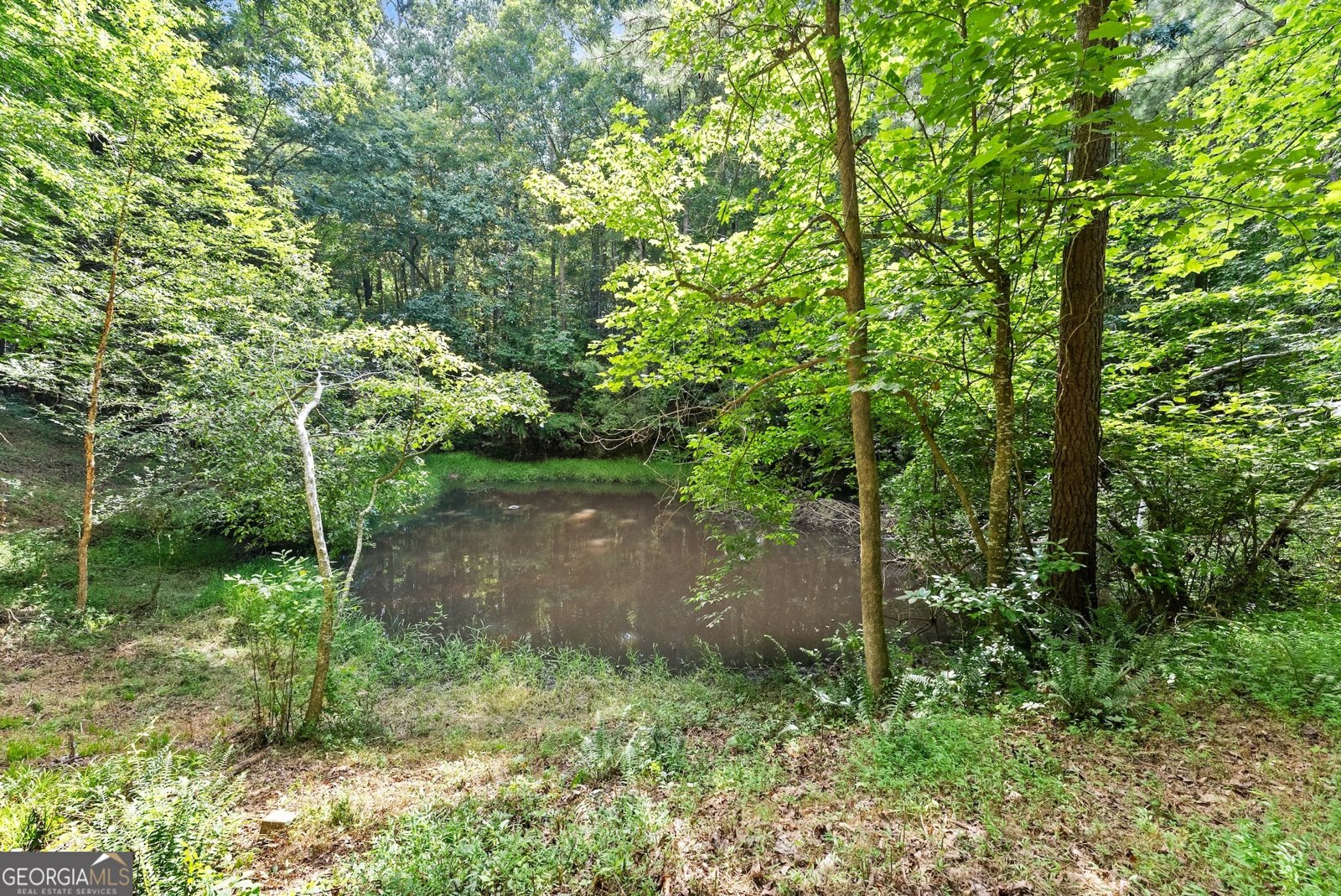 152 Blacks Mill Court Dawsonville - 43