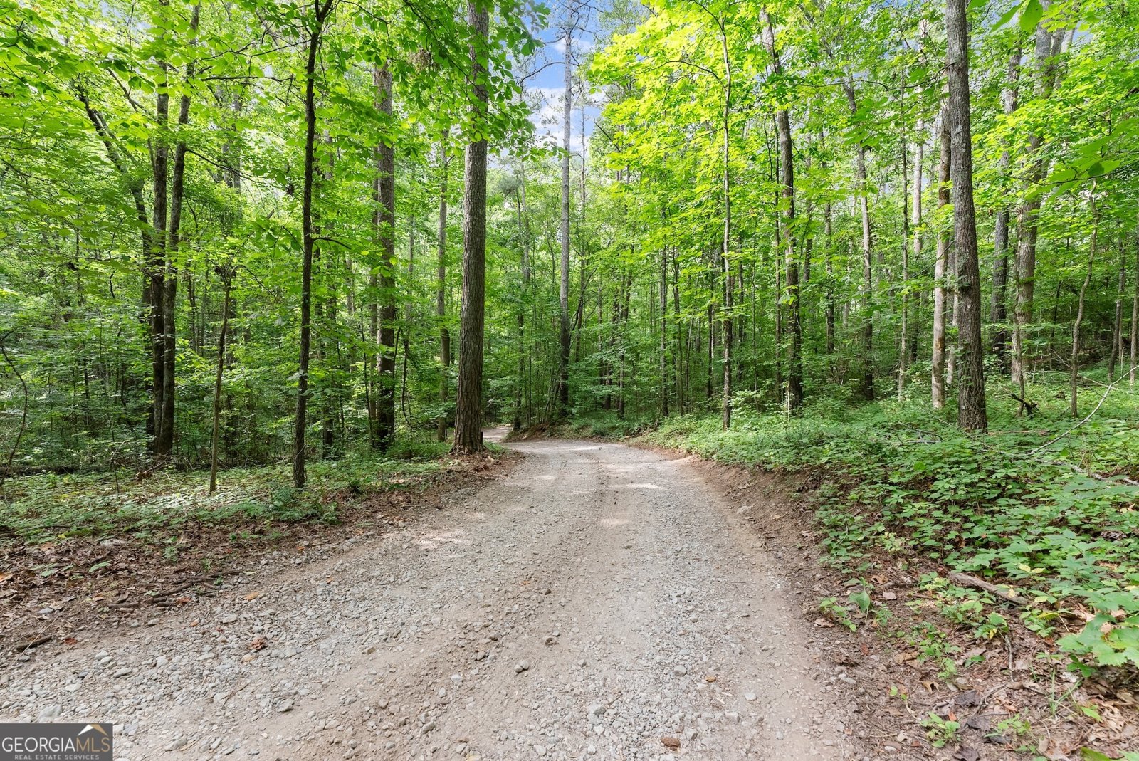 152 Blacks Mill Court Dawsonville - 44
