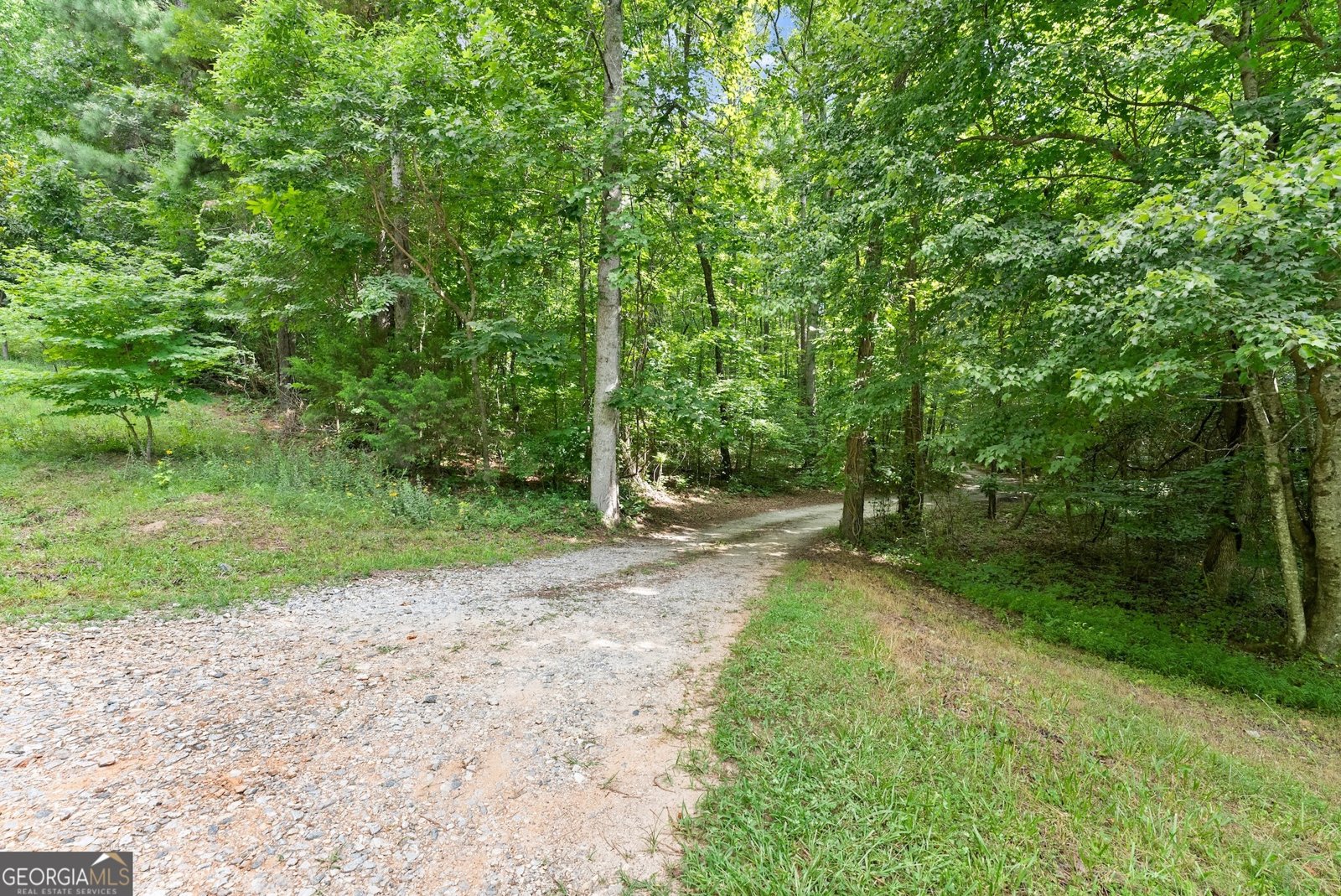 152 Blacks Mill Court Dawsonville - 45