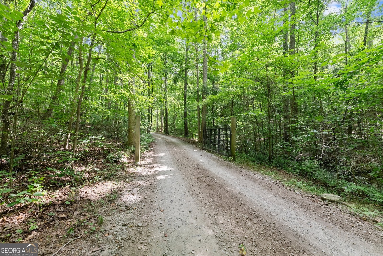 152 Blacks Mill Court Dawsonville - 46