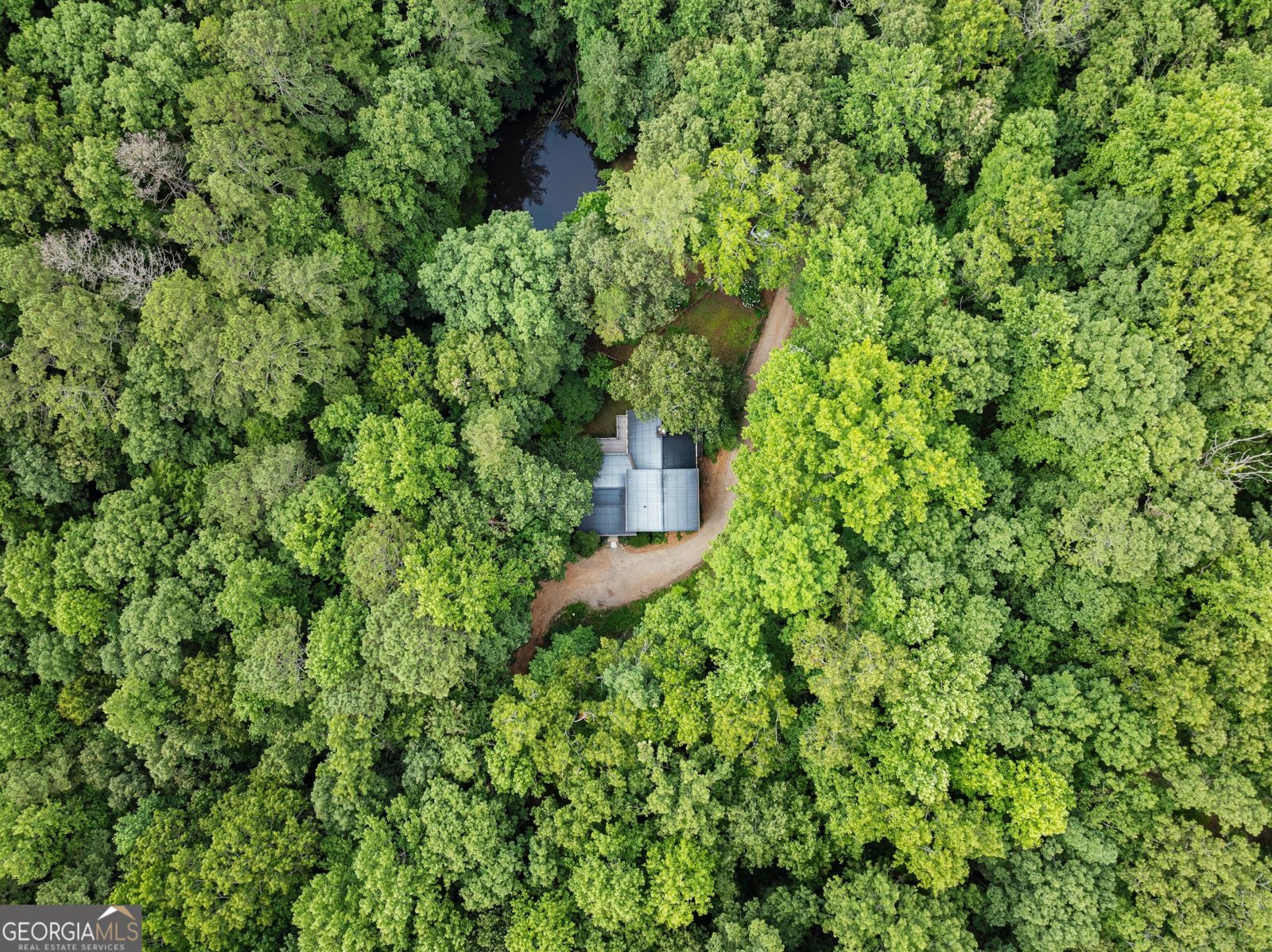 152 Blacks Mill Court Dawsonville - 48
