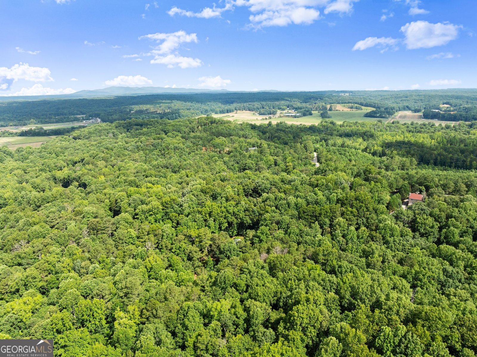 152 Blacks Mill Court Dawsonville - 5