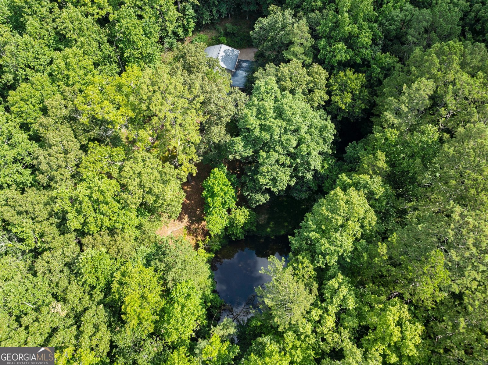 152 Blacks Mill Court Dawsonville - 50