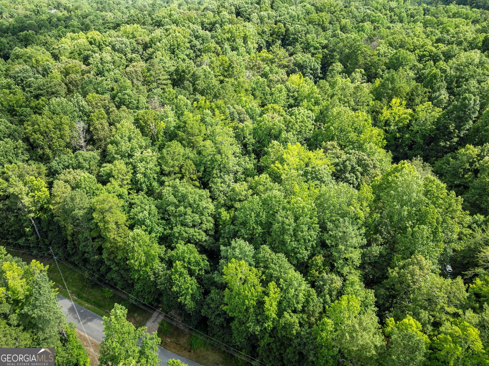 152 Blacks Mill Court Dawsonville - 59