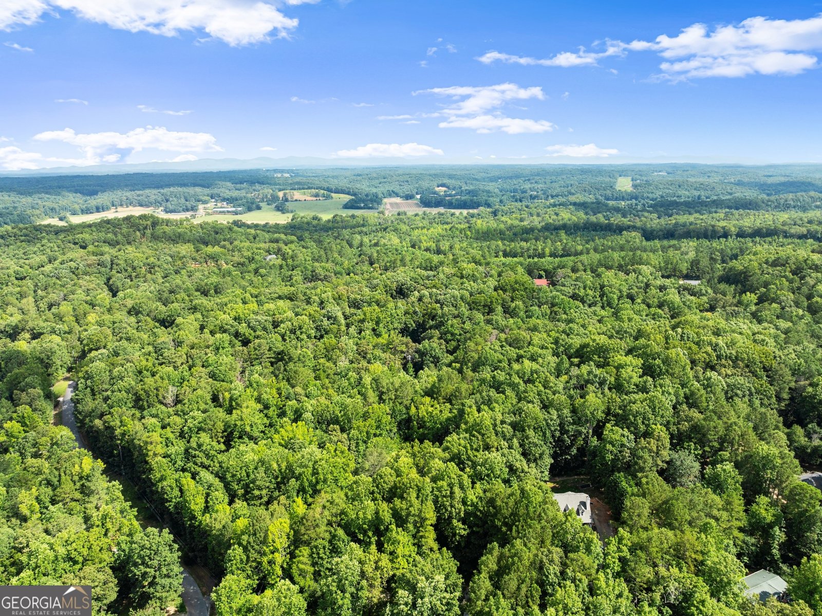 152 Blacks Mill Court Dawsonville - 6