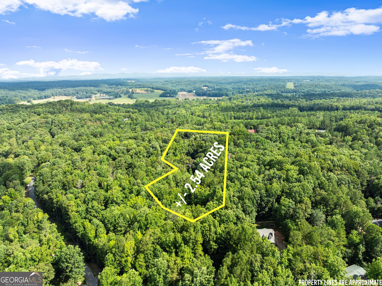 152 Blacks Mill Court Dawsonville - 7
