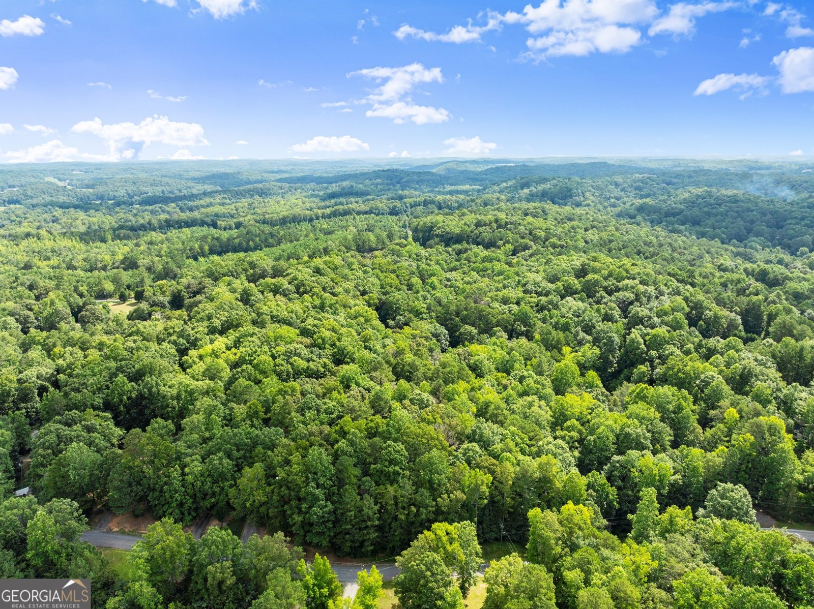 152 Blacks Mill Court Dawsonville - 8