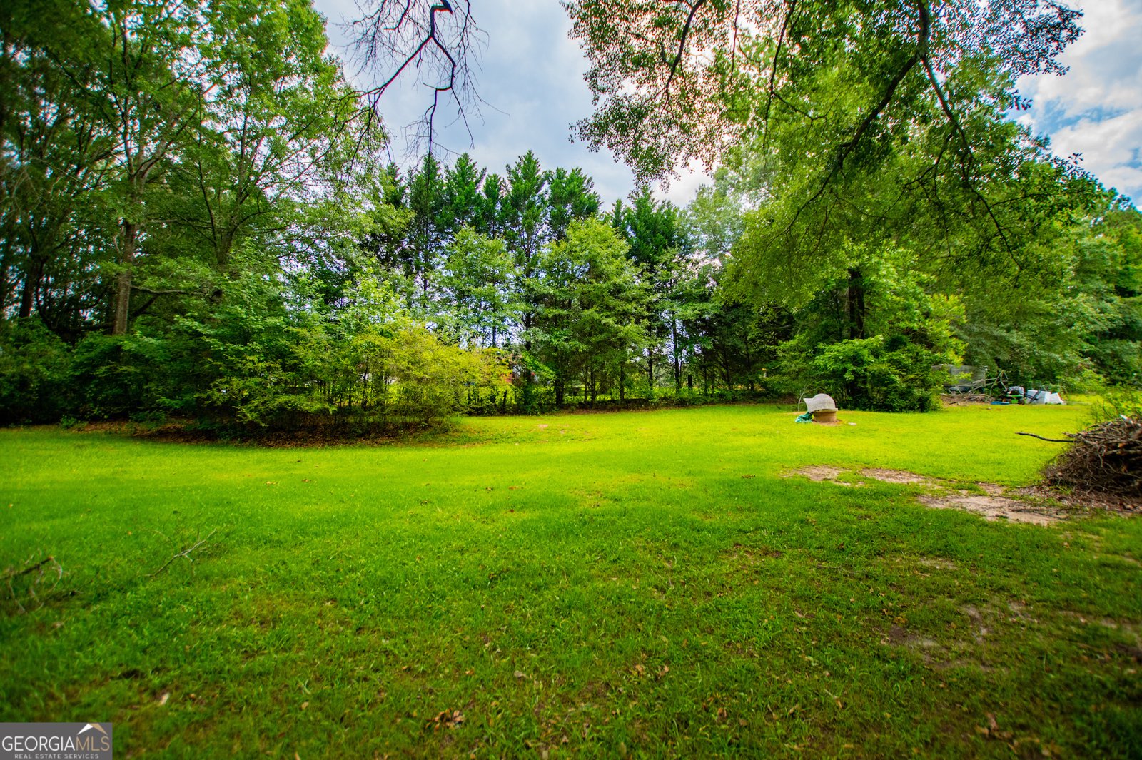 100 Redwine Drive Newnan - 49
