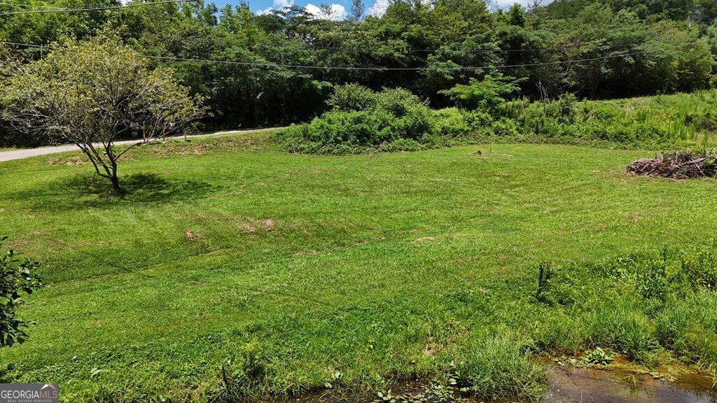 39 Shady Creek Ridge Murphy - 17