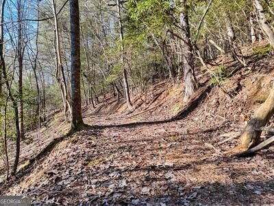 39 Shady Creek Ridge Murphy - 37