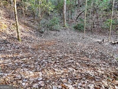 39 Shady Creek Ridge Murphy - 4