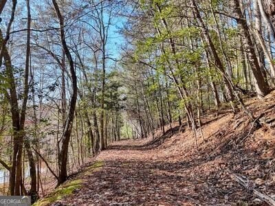 39 Shady Creek Ridge Murphy - 5