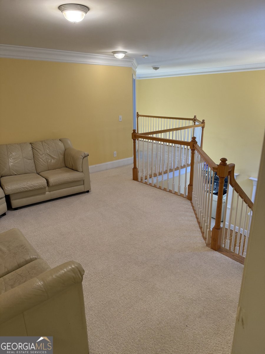 3150 Haverhill Cove Conyers - 22