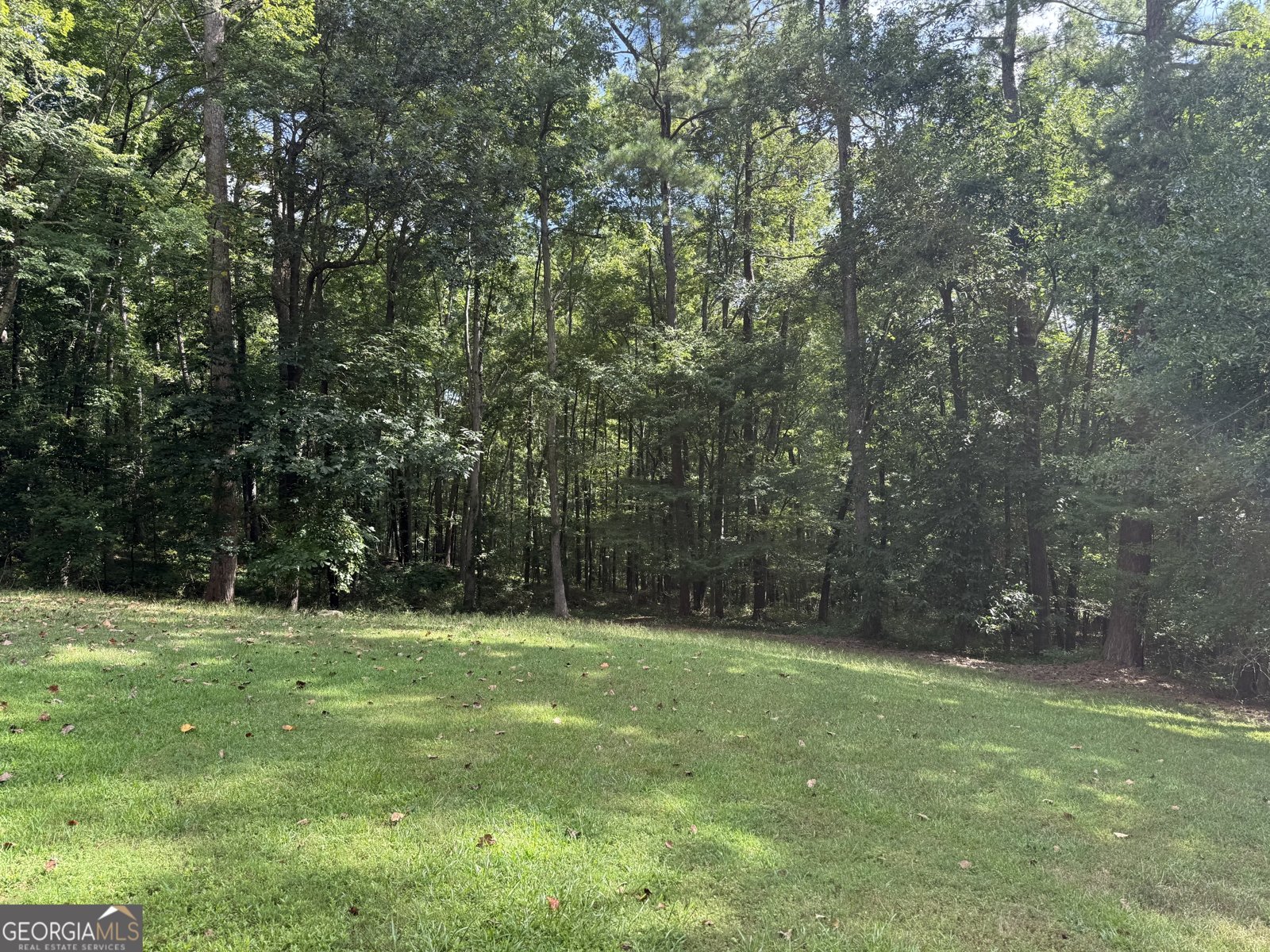 3150 Haverhill Cove Conyers - 28