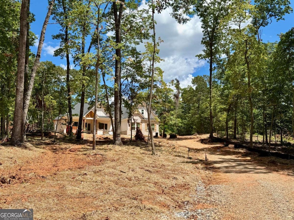 123 Stillwater Lane Dawsonville - 2