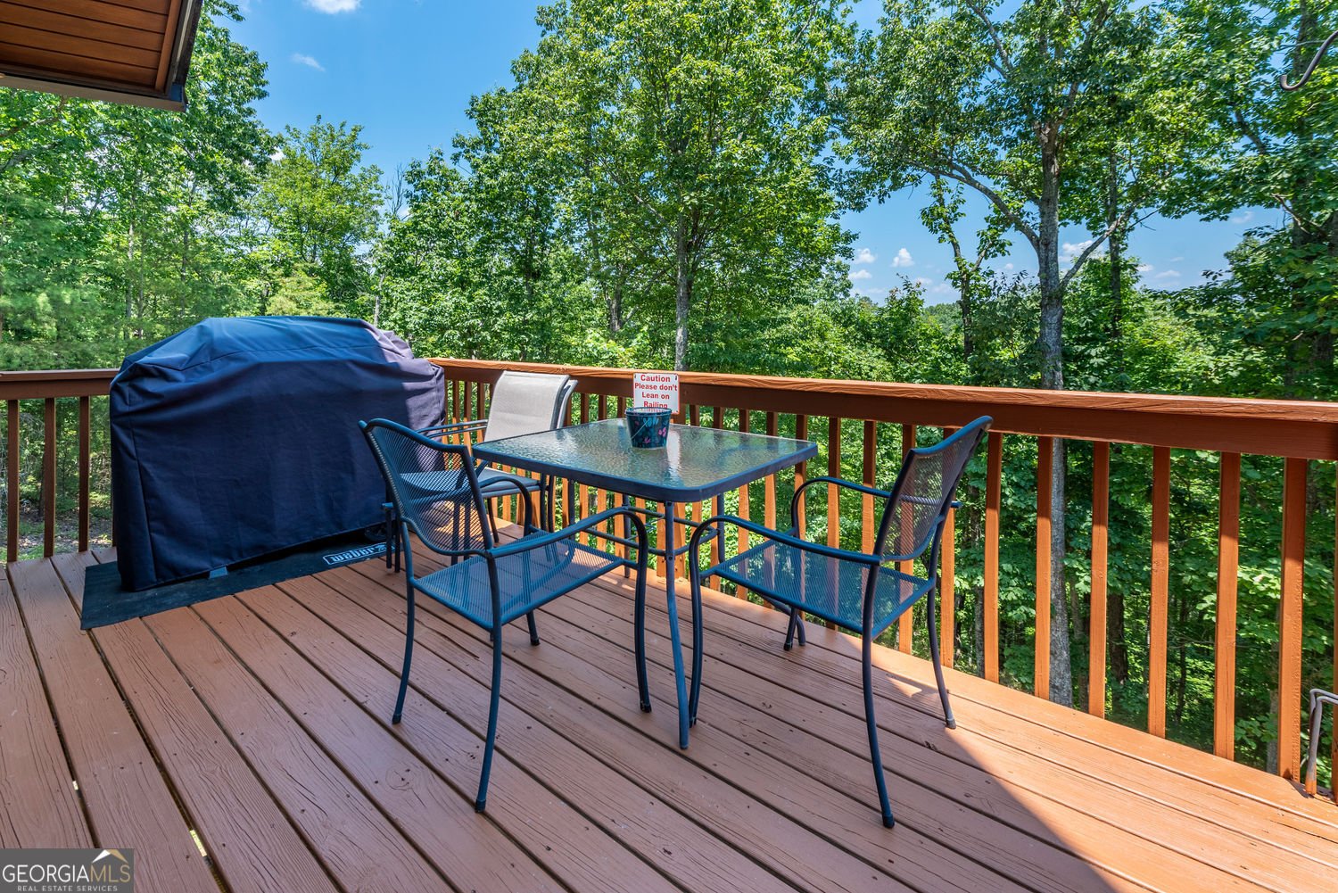 1328 Birch Lane Lane Ranger - 6