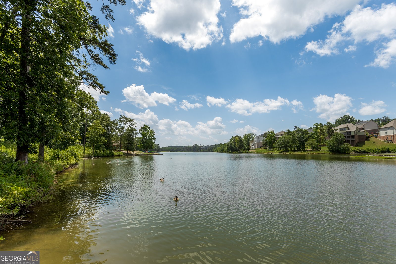 6763 Big Sky Drive Flowery Branch - 27