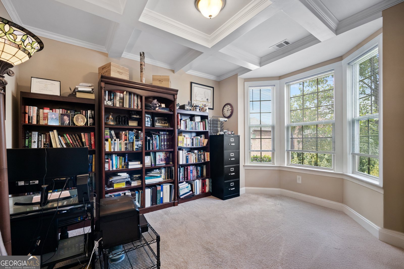 3692 Terrah Point Drive Duluth - 18