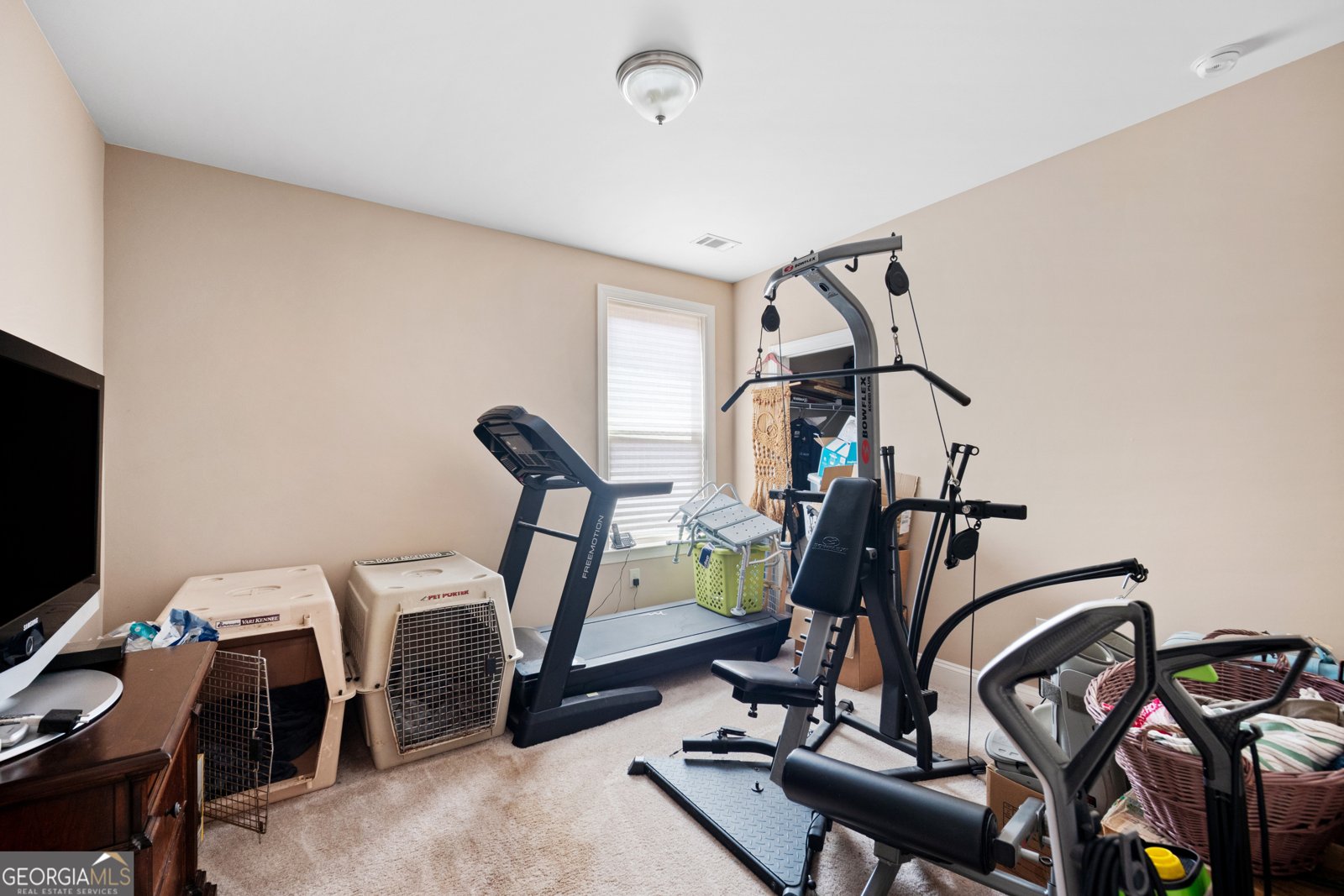 3692 Terrah Point Drive Duluth - 29