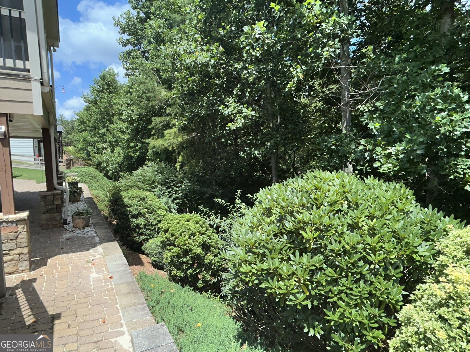 460 Morgan Lane Lane DAWSONVILLE - 26