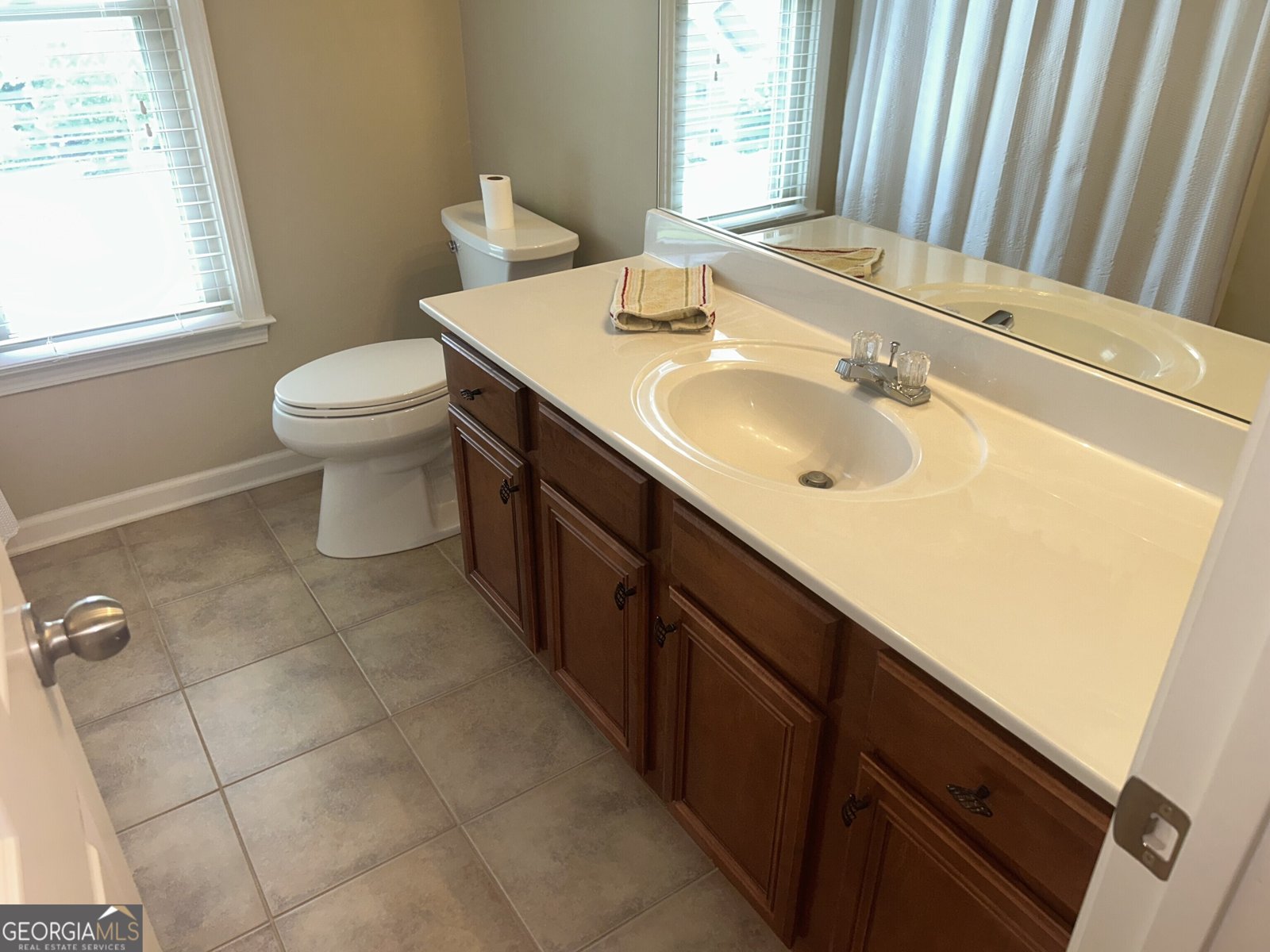 460 Morgan Lane Lane DAWSONVILLE - 3