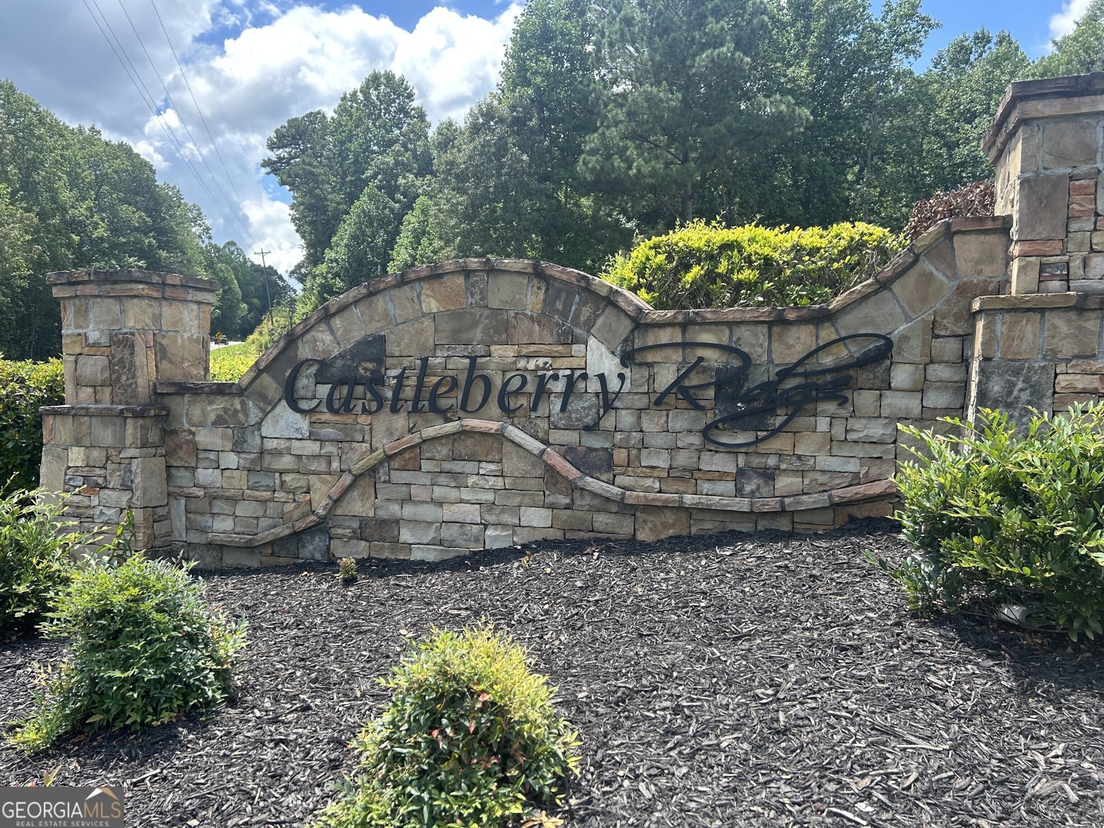 460 Morgan Lane Lane DAWSONVILLE - 36