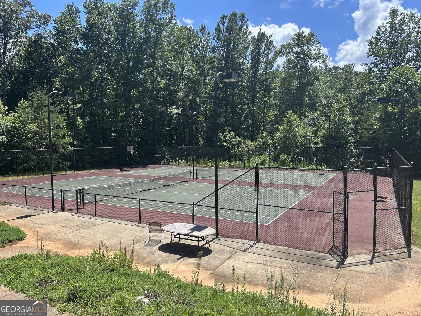 460 Morgan Lane Lane DAWSONVILLE - 38