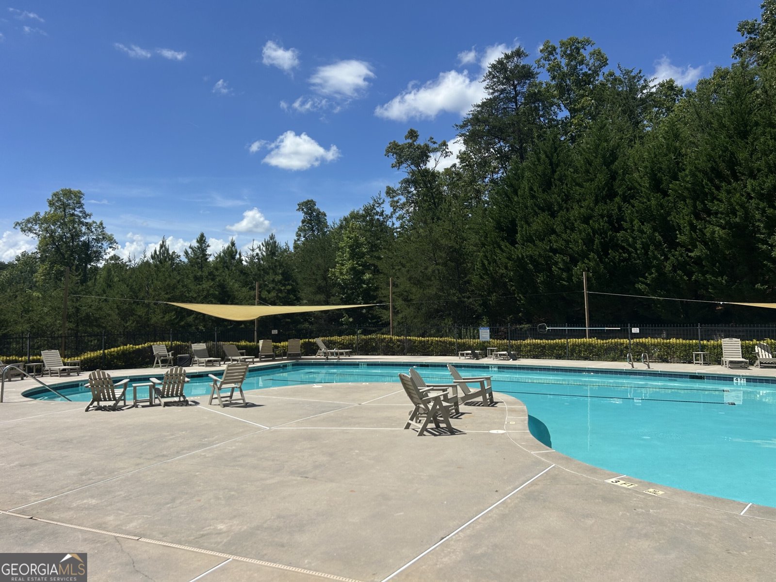 460 Morgan Lane Lane DAWSONVILLE - 40