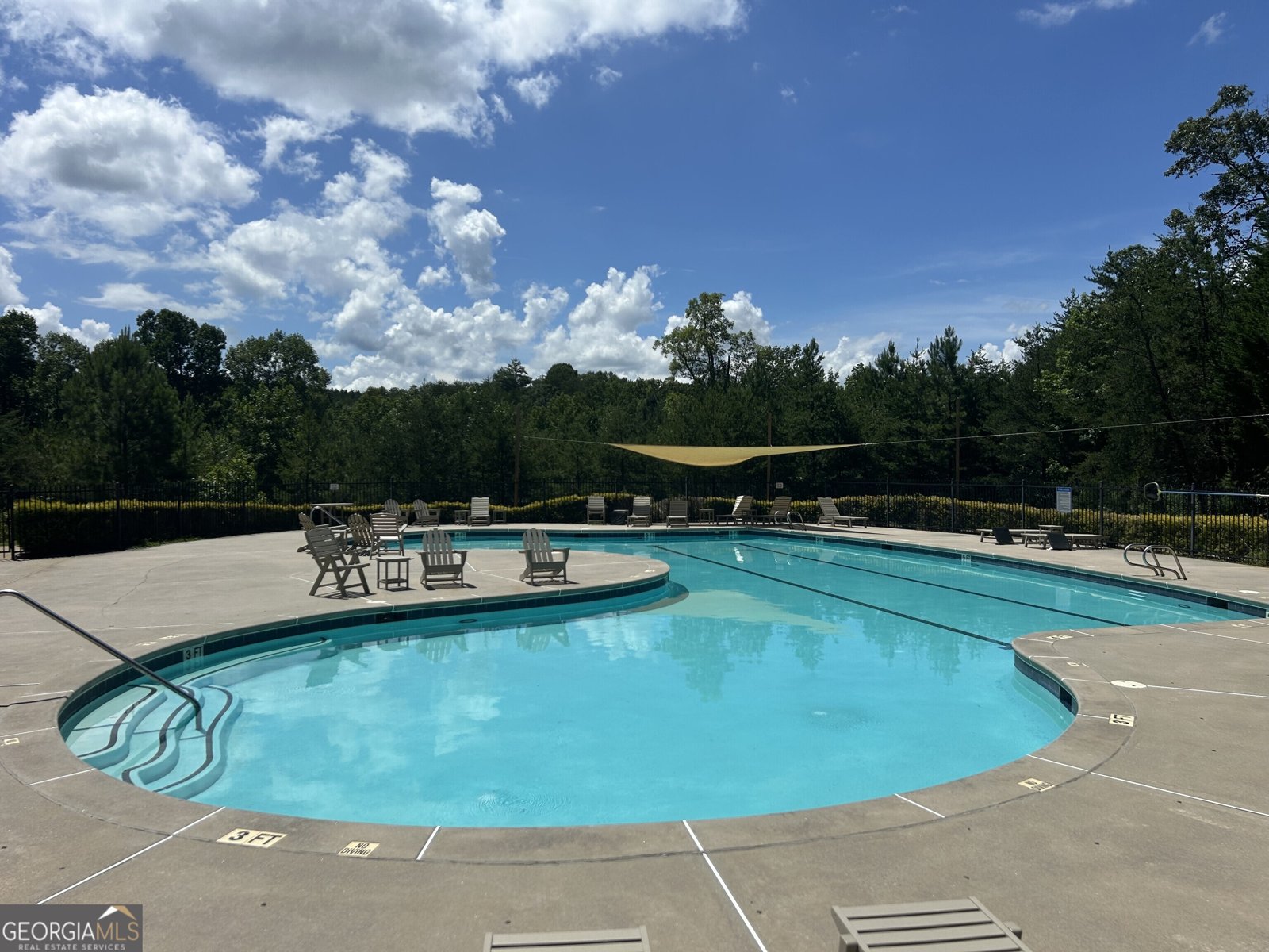 460 Morgan Lane Lane DAWSONVILLE - 41