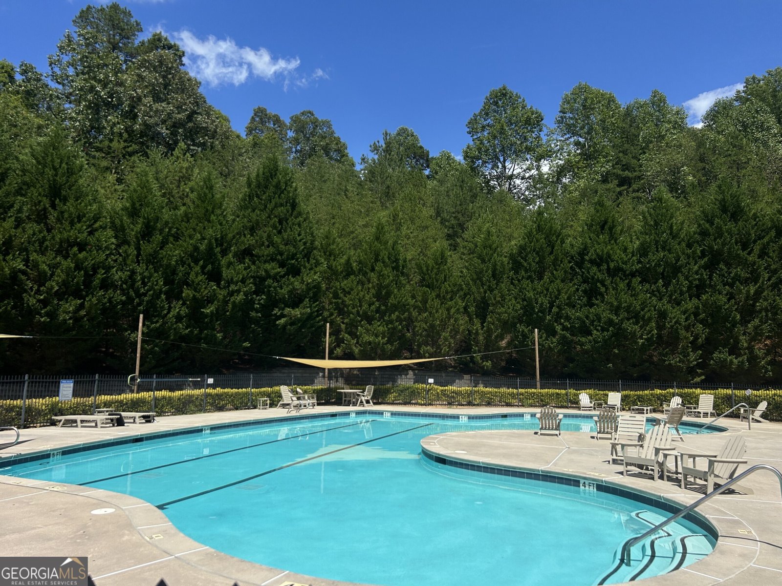 460 Morgan Lane Lane DAWSONVILLE - 43